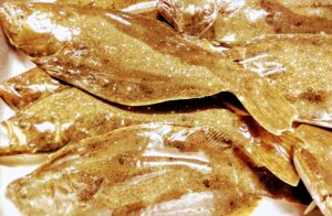 銚子利根川河口の鮃、小さめが10匹